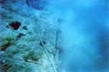wreck_16.jpg
122,61 KB