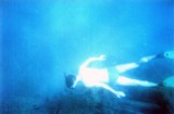 wreck_2.jpg
55,34 KB