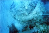 wreck_9.jpg
130,95 KB